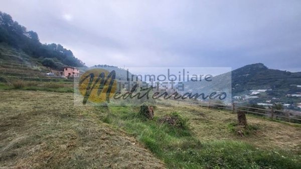 casa indipendente in vendita a Vallebona