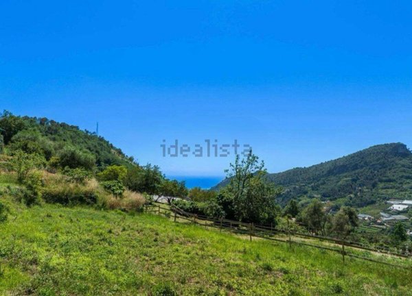 casa indipendente in vendita a Vallebona