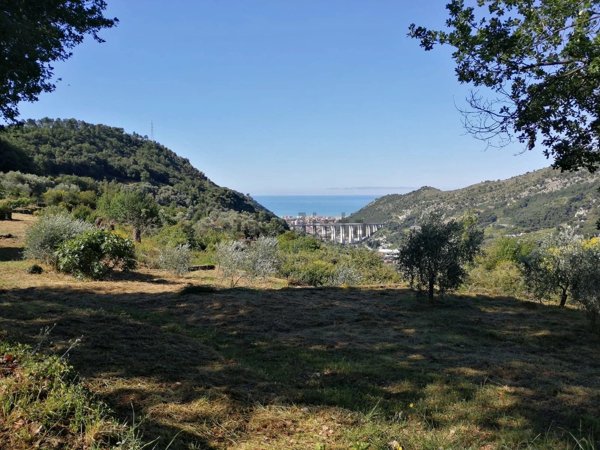 terreno edificabile in vendita a Vallebona