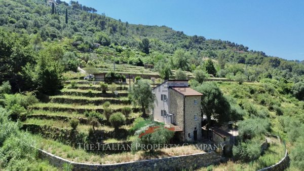 casa indipendente in vendita a Vallebona