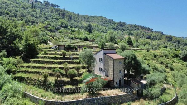 casa indipendente in vendita a Vallebona