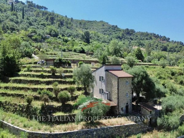 casa indipendente in vendita a Vallebona
