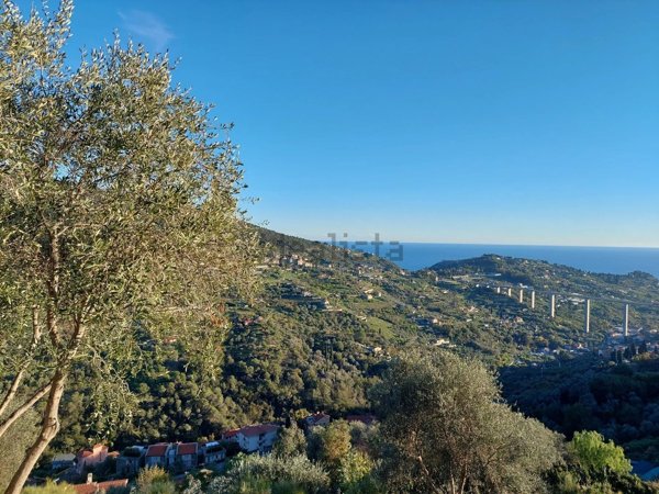 terreno edificabile in vendita a Vallebona