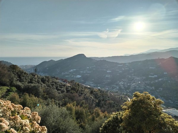 casa indipendente in vendita a Vallebona