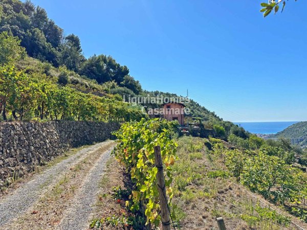 casa indipendente in vendita a Vallebona
