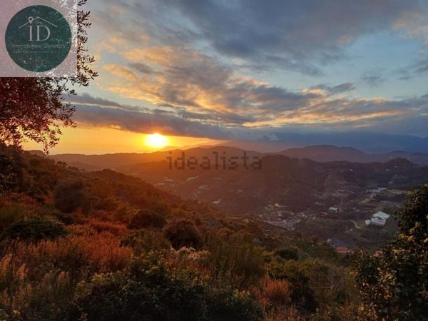 casa indipendente in vendita a Vallebona