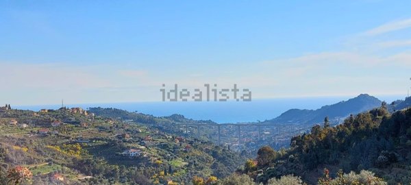 casa indipendente in vendita a Vallebona