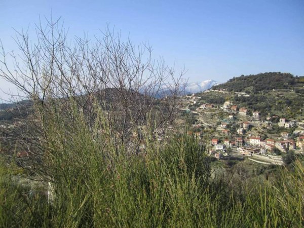 casa indipendente in vendita a Vallebona