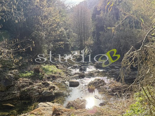 appartamento in vendita a Vallebona