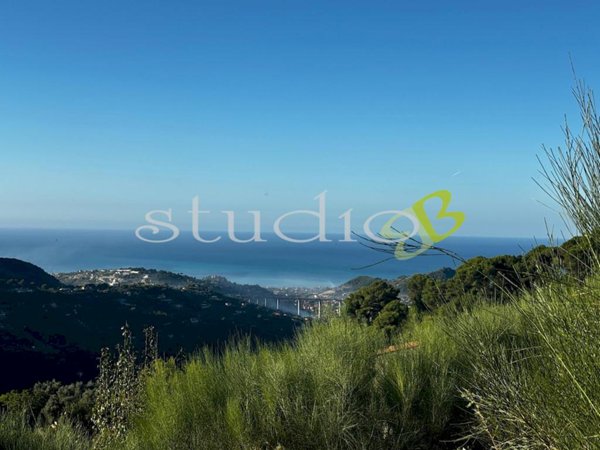 casa indipendente in vendita a Vallebona