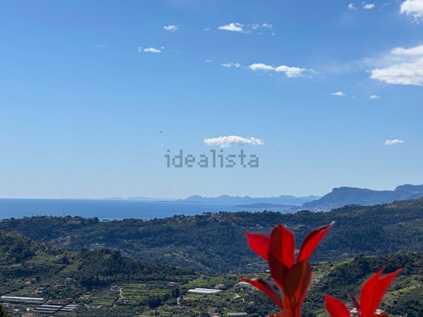 casa indipendente in vendita a Vallebona