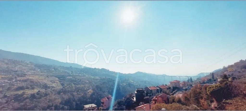 casa indipendente in vendita a Vallebona