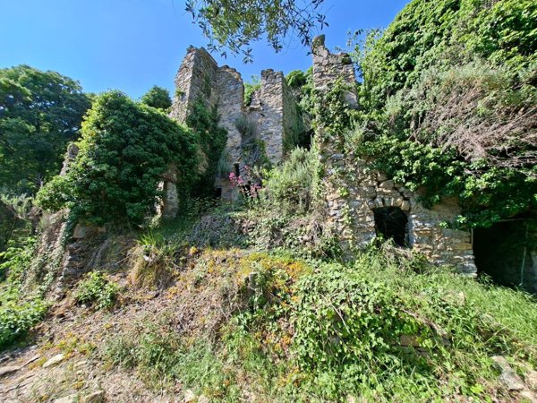 casale in vendita a Vallebona