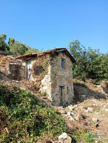 casale in vendita a Vallebona