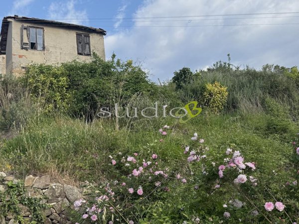 appartamento in vendita a Vallebona
