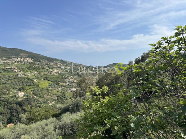 casa indipendente in vendita a Vallebona