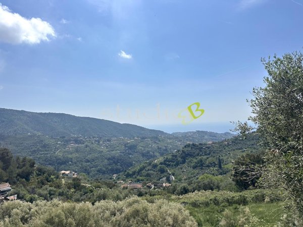 casa indipendente in vendita a Vallebona