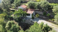 casa indipendente in vendita a Vallebona