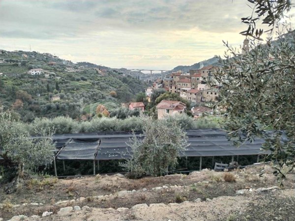 terreno agricolo in vendita a Vallebona