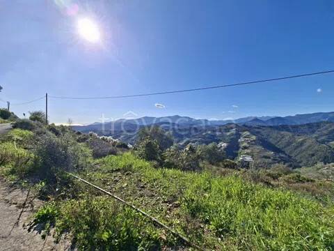 casa indipendente in vendita a Vallebona