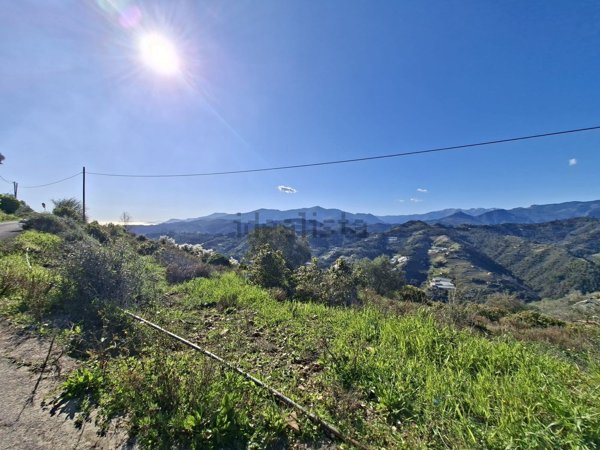 terreno edificabile in vendita a Vallebona