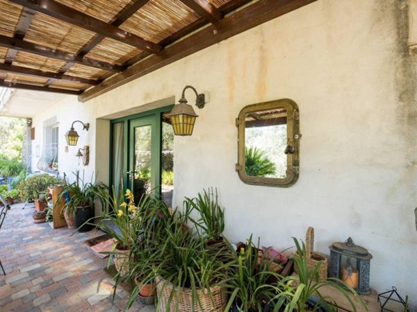 casa indipendente in vendita a Vallebona