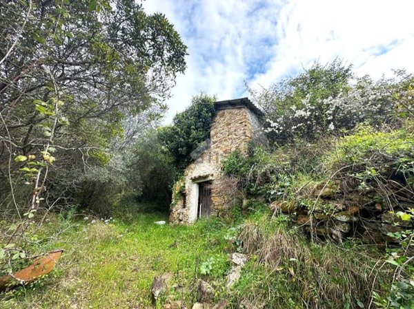 casale in vendita a Vallebona