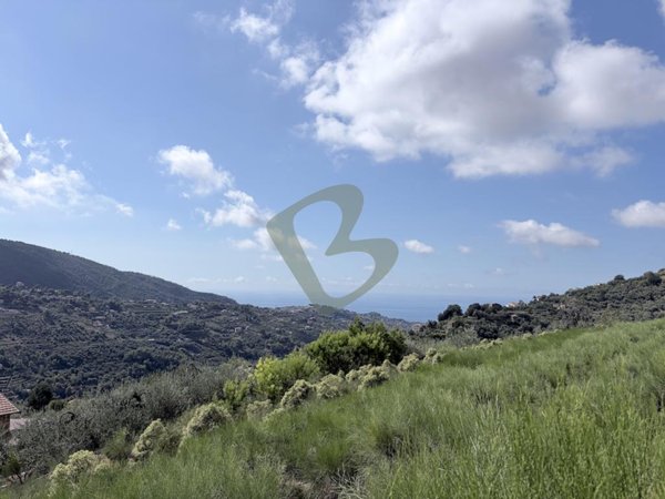 casa indipendente in vendita a Vallebona