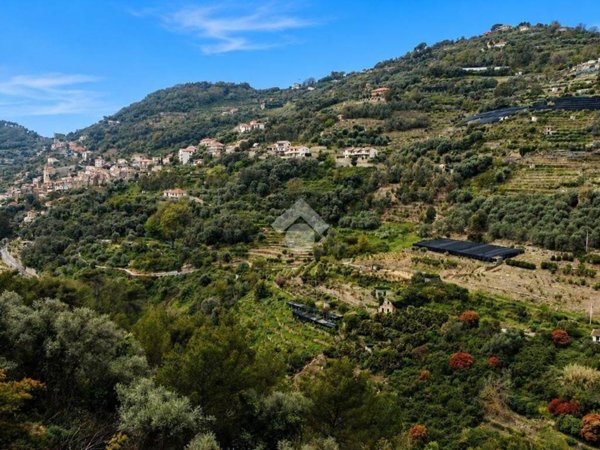 terreno in vendita a Vallebona