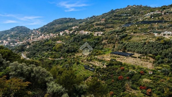 terreno in vendita a Vallebona