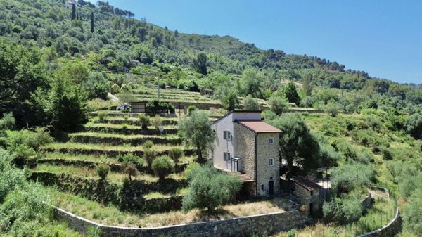 casa indipendente in vendita a Vallebona