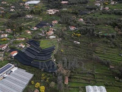 terreno edificabile in vendita a Vallecrosia
