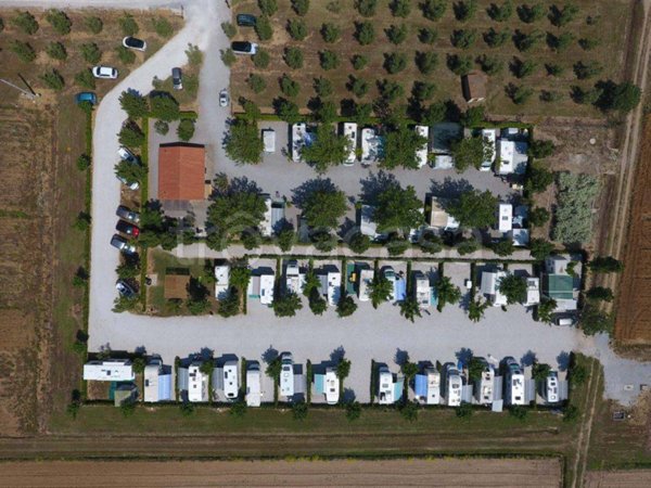 terreno agricolo in vendita a Vallecrosia