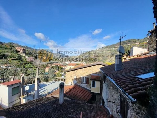 esavano in vendita a Vallecrosia in zona Vallecrosia Alta