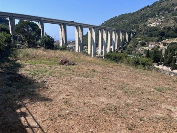 terreno edificabile in vendita a Vallecrosia in zona Vallecrosia Alta