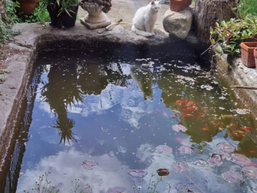 casa indipendente in vendita a Vallecrosia