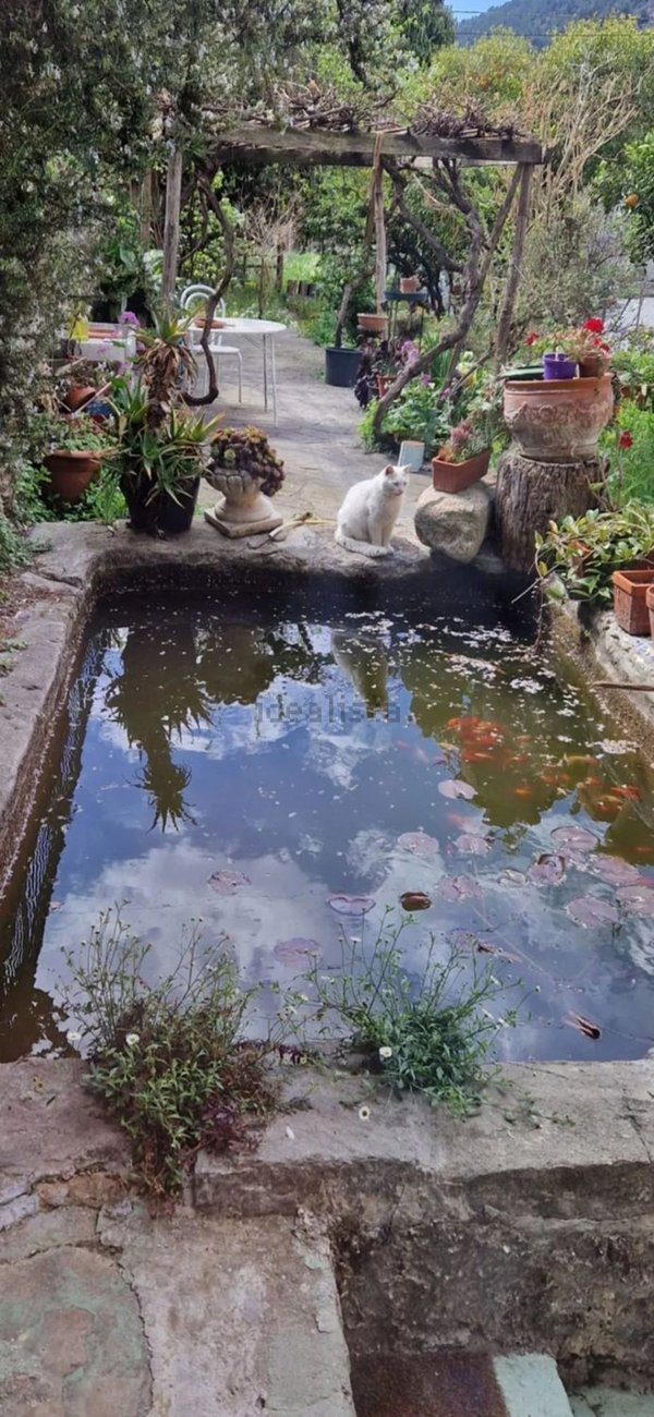 casa indipendente in vendita a Vallecrosia