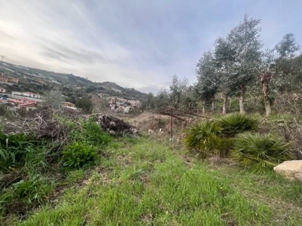 terreno edificabile in vendita a Vallecrosia in zona Vallecrosia Alta