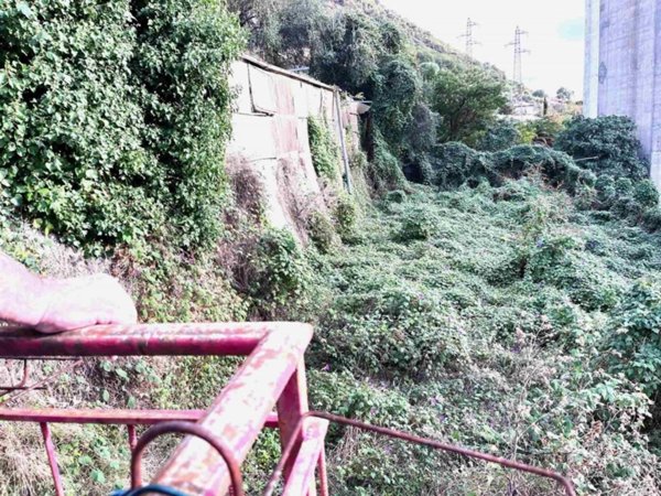 terreno edificabile in vendita a Vallecrosia