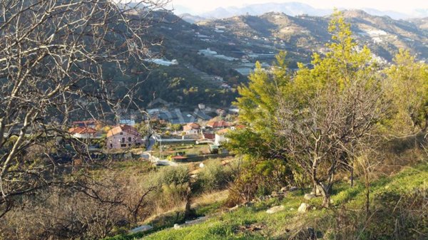 terreno edificabile in vendita a Vallecrosia