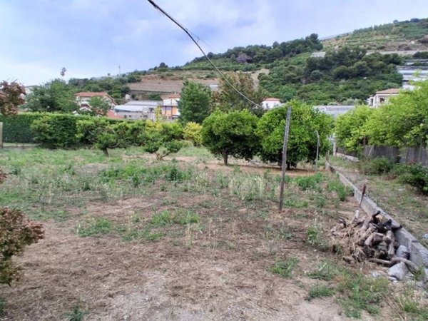 terreno agricolo in vendita a Vallecrosia