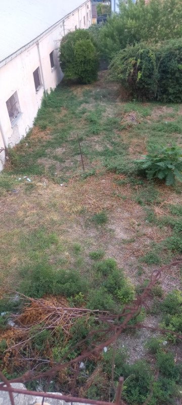 casa indipendente in vendita a Vallecrosia in zona Vallecrosia Alta