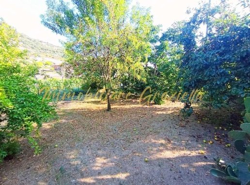 casa indipendente in vendita a Vallecrosia