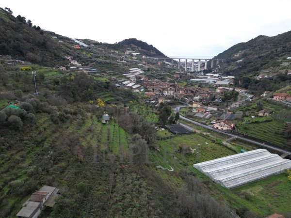 terreno edificabile in vendita a Vallecrosia