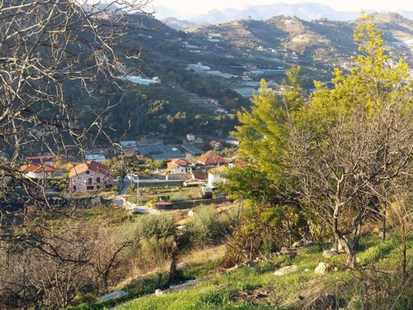 terreno edificabile in vendita a Vallecrosia