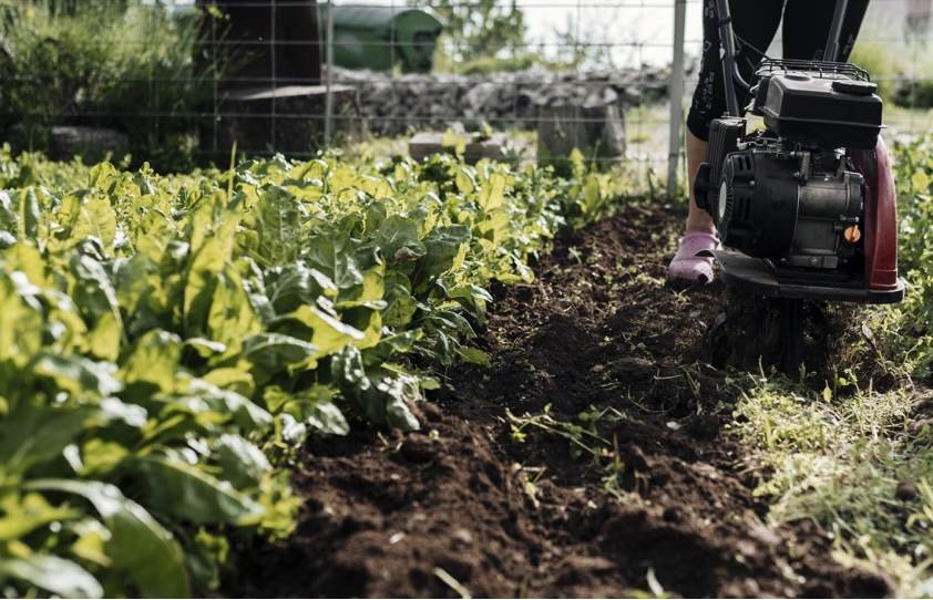 terreno agricolo in vendita a Vallecrosia