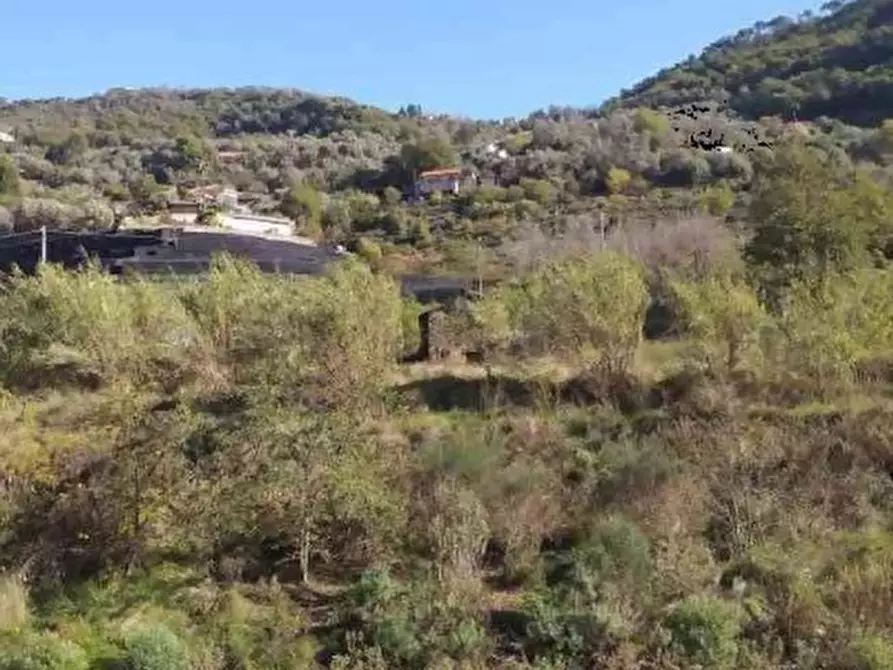 terreno edificabile in vendita a Vallecrosia