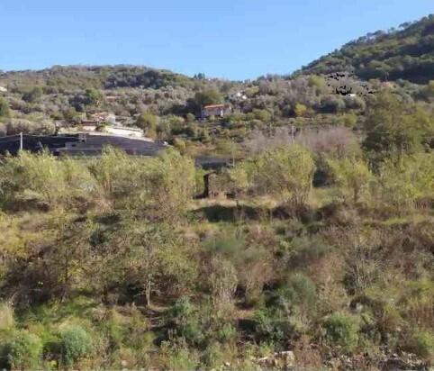 terreno edificabile in vendita a Vallecrosia in zona Vallecrosia Alta