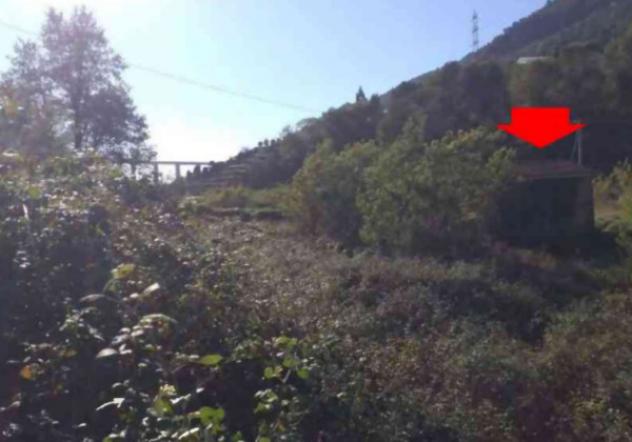 terreno edificabile in vendita a Vallecrosia