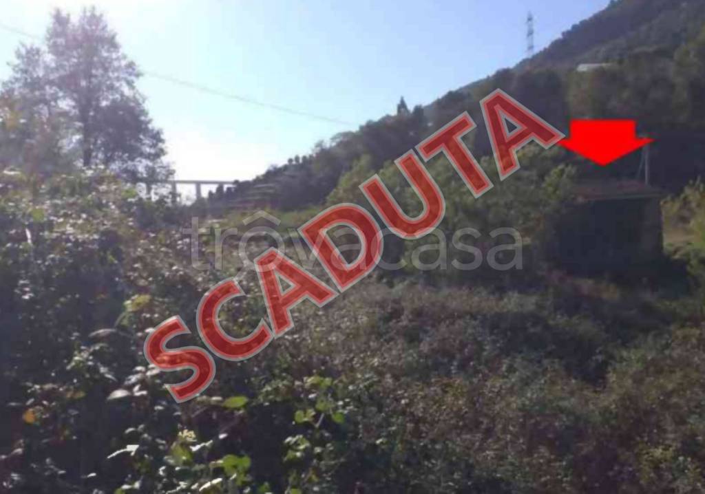 terreno agricolo in vendita a Vallecrosia